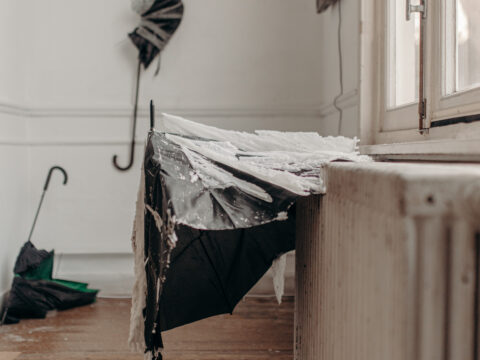 Anna MANCUSO, Unfolding Sculptures, 2024. (c) Candice Athenaïs